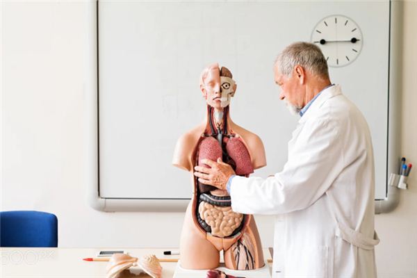 梦见脾脏是什么意思 梦见脾脏是什么意思