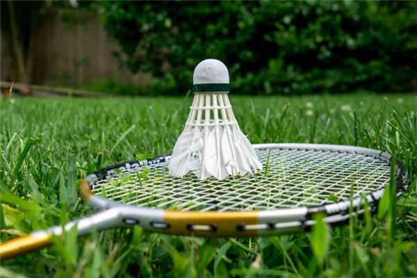 梦见打羽毛球是什么意思 梦见打羽毛球是什么意思