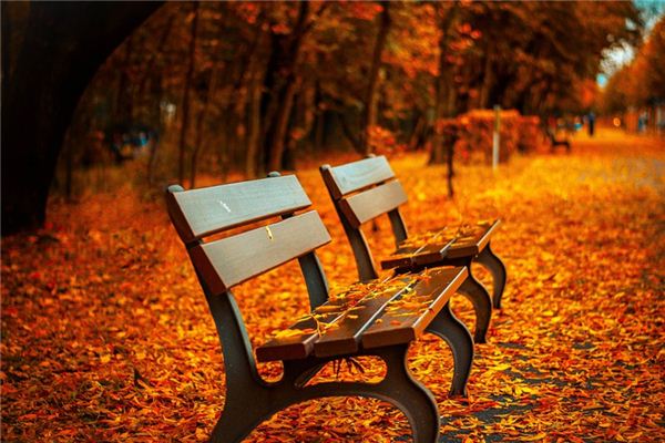 梦见长凳是什么意思 梦见长凳是什么意思