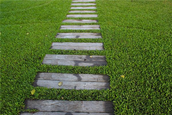 梦见小路是什么意思 梦见小路是什么意思