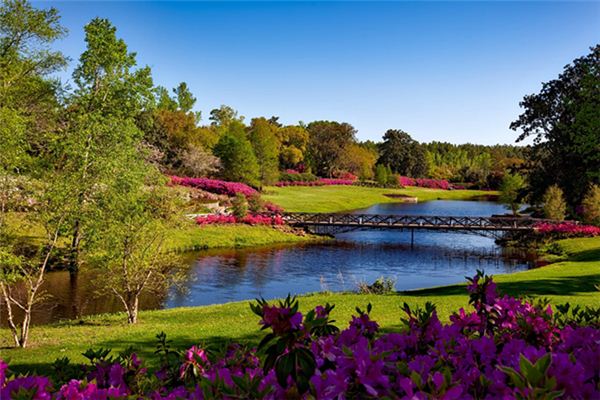 梦见公园是什么意思 梦见公园是什么意思